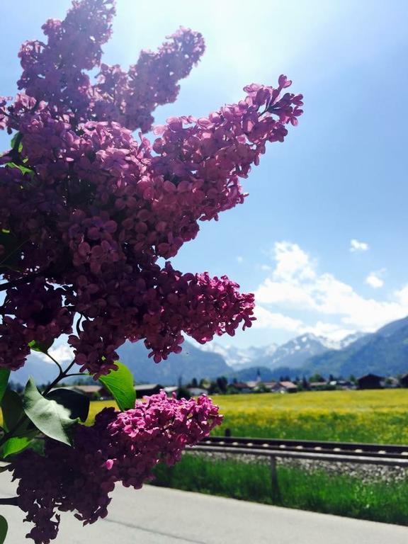 Hotel Garni Regina Oberstdorf Eksteriør bilde